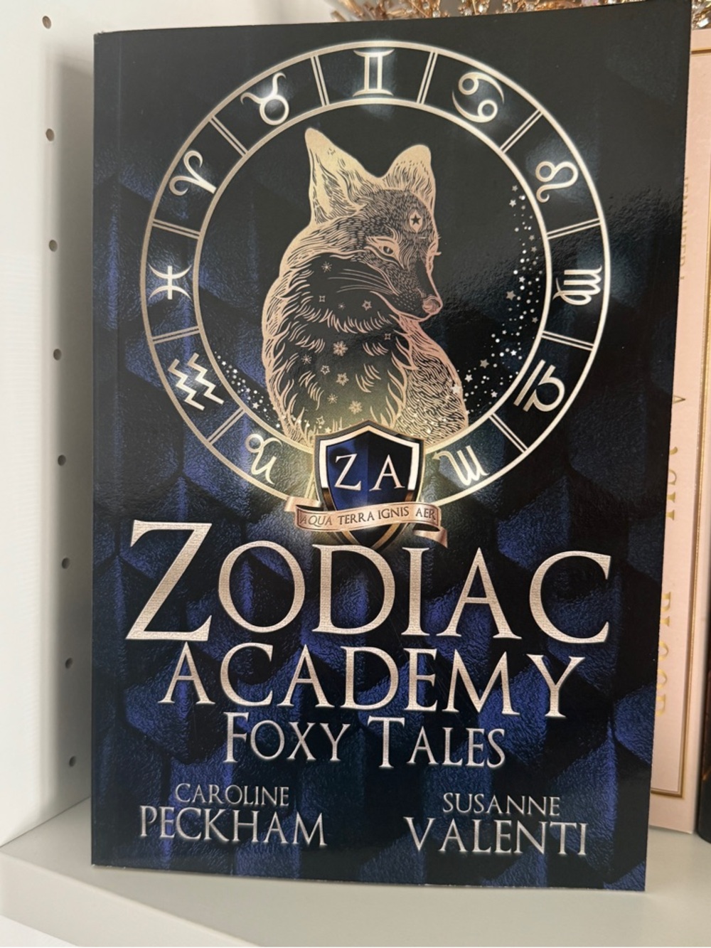 Zodiac Academy Foxy Tales